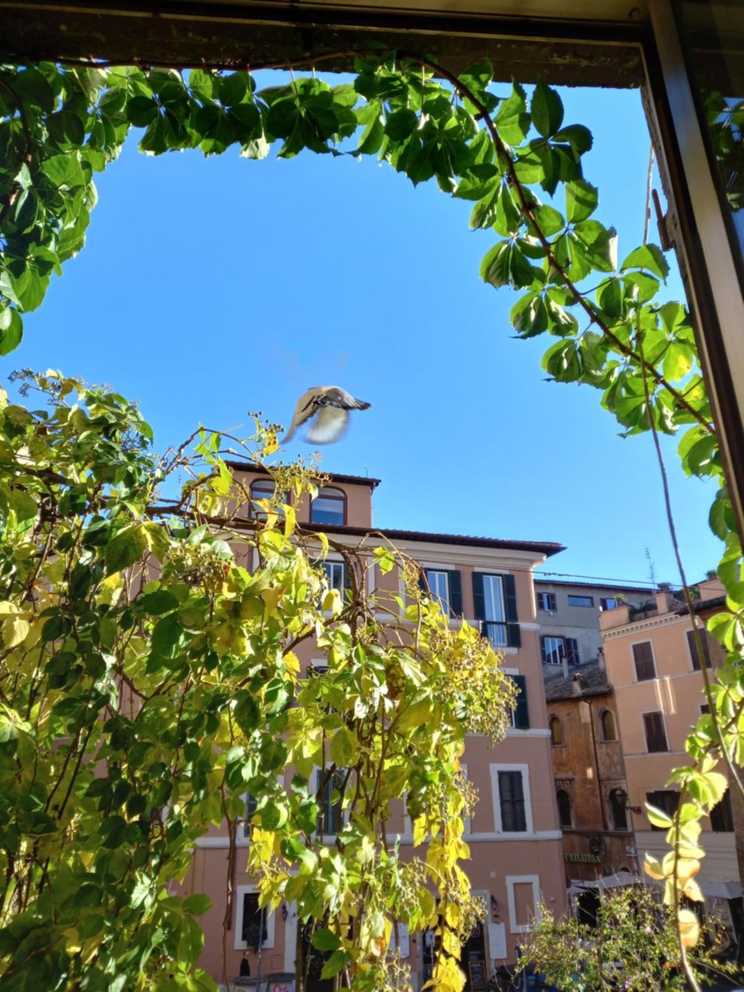 Central Apartment In Trastevere Rome Chambre photo